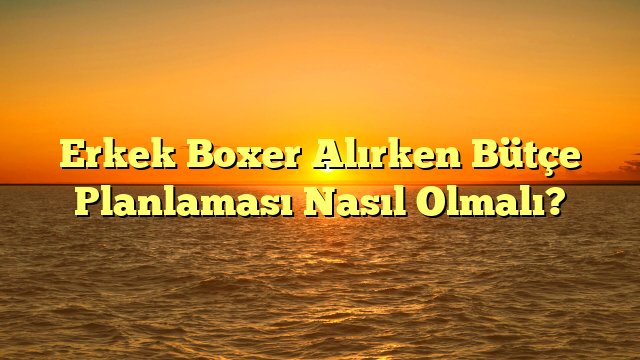 Erkek Boxer Alırken Bütçe Planlaması Nasıl Olmalı?