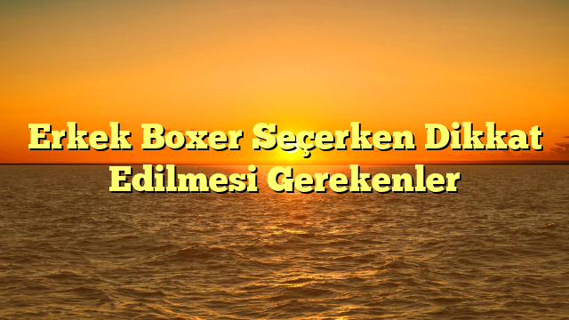 Erkek Boxer Seçerken Dikkat Edilmesi Gerekenler