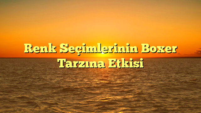 Renk Seçimlerinin Boxer Tarzına Etkisi