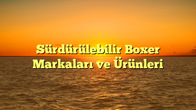 Sürdürülebilir Boxer Markaları ve Ürünleri