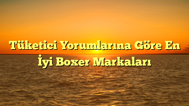 Tüketici Yorumlarına Göre En İyi Boxer Markaları