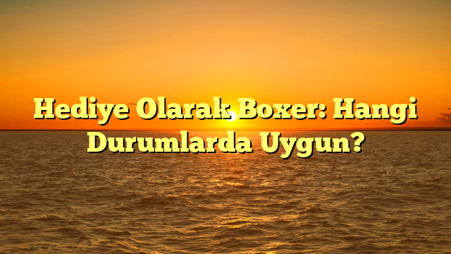 Hediye Olarak Boxer: Hangi Durumlarda Uygun?